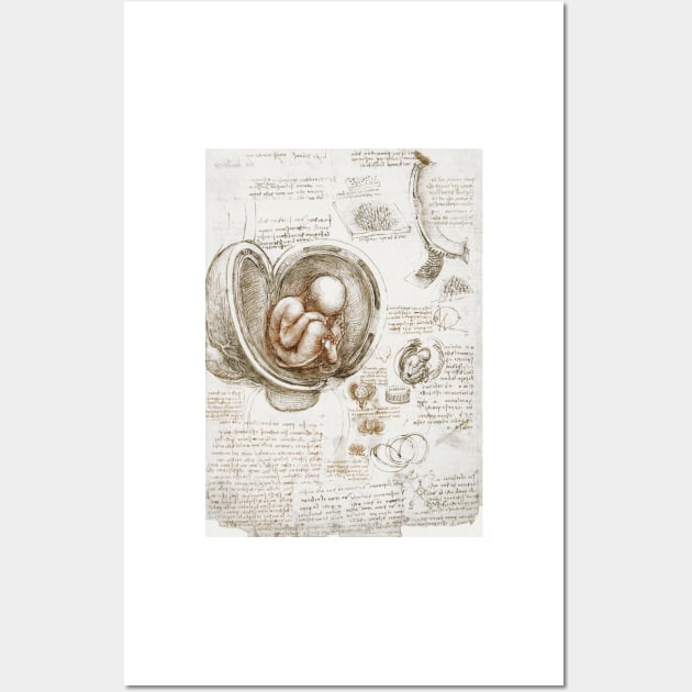 Studies of the Fetus in the Womb - Leonardo da Vinci Wall Art by opptop